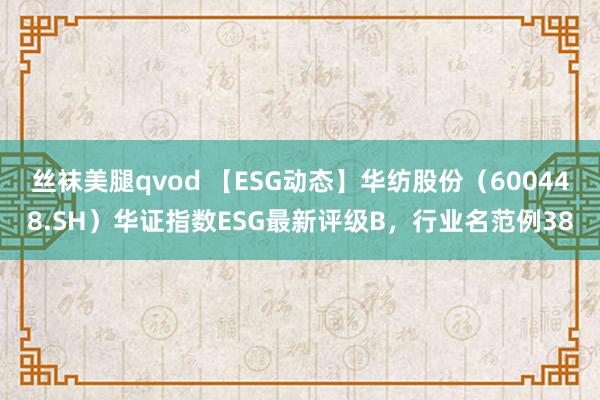 丝袜美腿qvod 【ESG动态】华纺股份（600448.SH）华证指数ESG最新评级B，行业名范例38