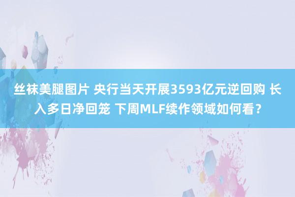 丝袜美腿图片 央行当天开展3593亿元逆回购 长入多日净回笼 下周MLF续作领域如何看？