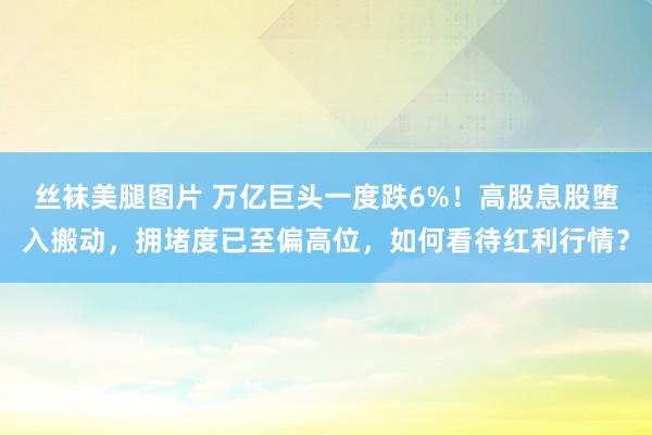 丝袜美腿图片 万亿巨头一度跌6%！高股息股堕入搬动，拥堵度已至偏高位，如何看待红利行情？