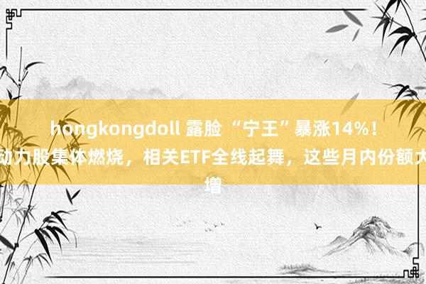 hongkongdoll 露脸 “宁王”暴涨14%！新动力股集体燃烧，相关ETF全线起舞，这些月内份额大增