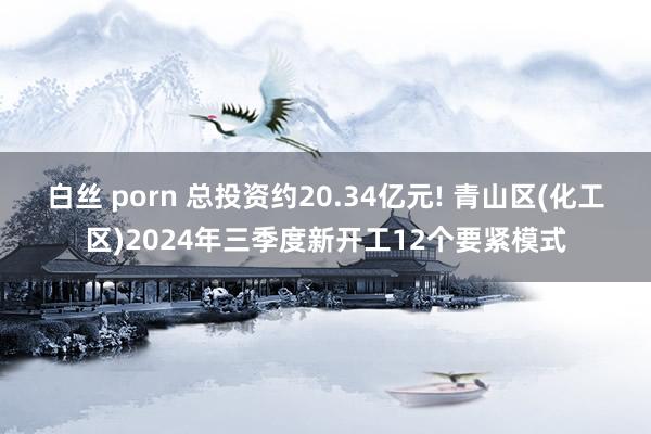 白丝 porn 总投资约20.34亿元! 青山区(化工区)2024年三季度新开工12个要紧模式