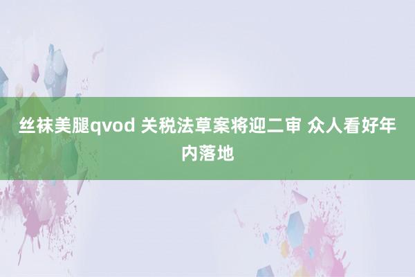 丝袜美腿qvod 关税法草案将迎二审 众人看好年内落地