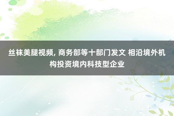 丝袜美腿视频， 商务部等十部门发文 相沿境外机构投资境内科技型企业