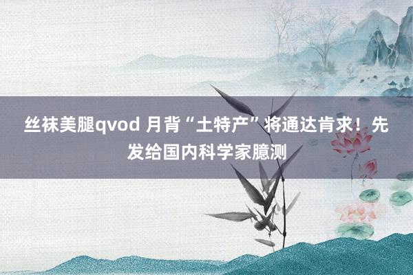 丝袜美腿qvod 月背“土特产”将通达肯求！先发给国内科学家臆测