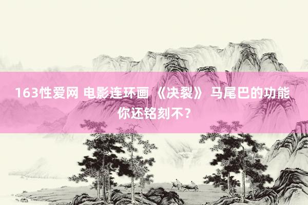 163性爱网 电影连环画 《决裂》 马尾巴的功能 你还铭刻不？