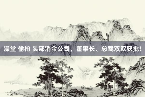 澡堂 偷拍 头部消金公司，董事长、总裁双双获批！