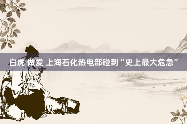 白虎 做爱 上海石化热电部碰到“史上最大危急”