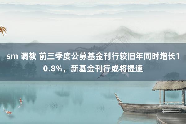 sm 调教 前三季度公募基金刊行较旧年同时增长10.8%，新基金刊行或将提速