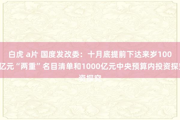 白虎 a片 国度发改委：十月底提前下达来岁1000亿元“两重”名目清单和1000亿元中央预算内投资探究