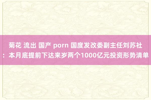 菊花 流出 国产 porn 国度发改委副主任刘苏社：本月底提前下达来岁两个1000亿元投资形势清单