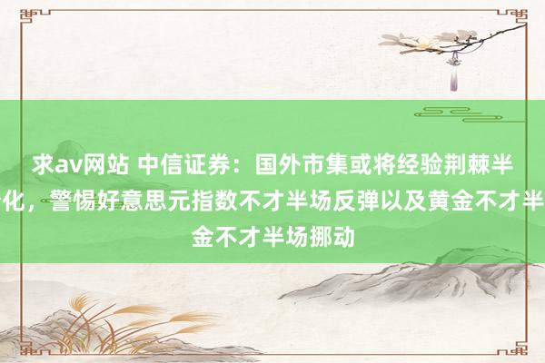 求av网站 中信证券：国外市集或将经验荆棘半场的分化，警惕好意思元指数不才半场反弹以及黄金不才半场挪动