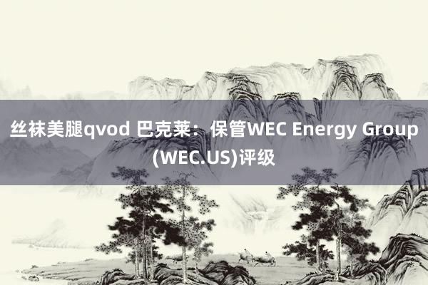 丝袜美腿qvod 巴克莱：保管WEC Energy Group(WEC.US)评级