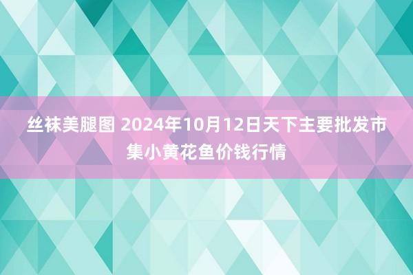 丝袜美腿图 2024年10月12日天下主要批发市集小黄花鱼价钱行情