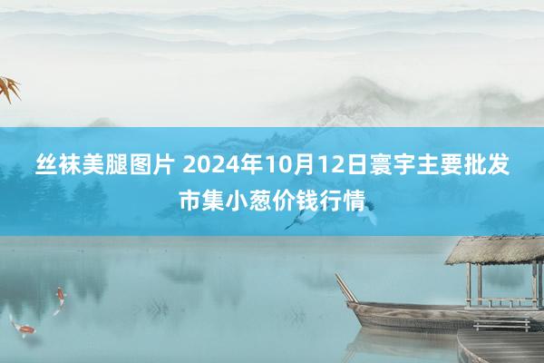 丝袜美腿图片 2024年10月12日寰宇主要批发市集小葱价钱行情