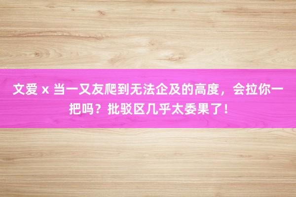 文爱 x 当一又友爬到无法企及的高度，会拉你一把吗？批驳区几乎太委果了！