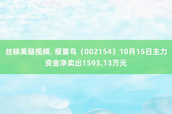 丝袜美腿视频， 报喜鸟（002154）10月15日主力资金净卖出1593.13万元