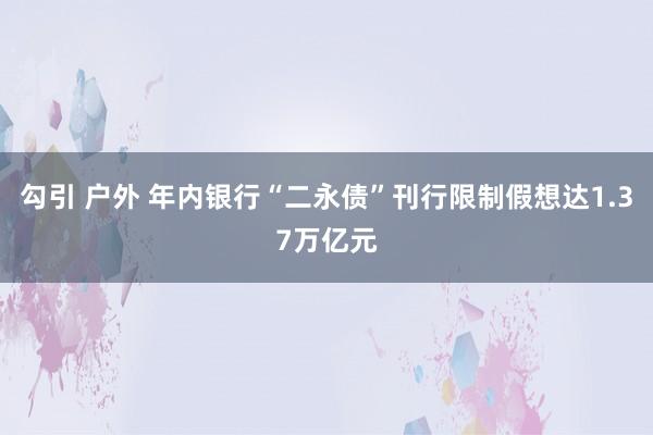 勾引 户外 年内银行“二永债”刊行限制假想达1.37万亿元