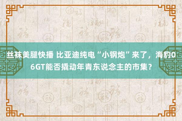 丝袜美腿快播 比亚迪纯电“小钢炮”来了，海豹06GT能否撬动年青东说念主的市集？