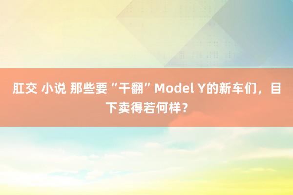 肛交 小说 那些要“干翻”Model Y的新车们，目下卖得若何样？