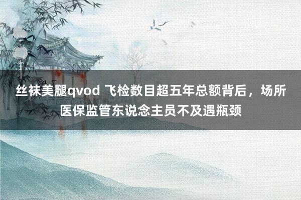 丝袜美腿qvod 飞检数目超五年总额背后，场所医保监管东说念主员不及遇瓶颈