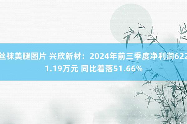 丝袜美腿图片 兴欣新材：2024年前三季度净利润6221.19万元 同比着落51.66%