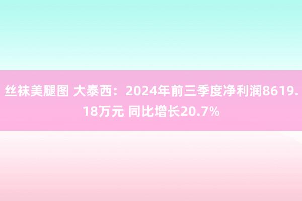 丝袜美腿图 大泰西：2024年前三季度净利润8619.18万元 同比增长20.7%