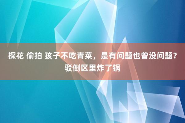 探花 偷拍 孩子不吃青菜，是有问题也曾没问题？驳倒区里炸了锅