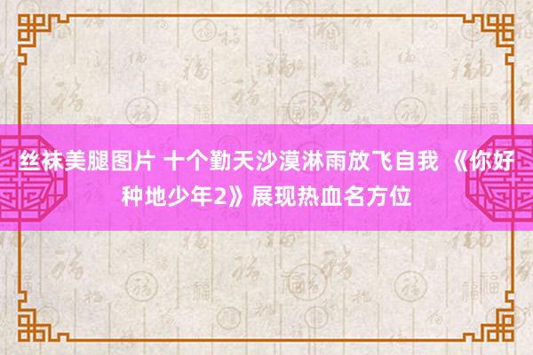 丝袜美腿图片 十个勤天沙漠淋雨放飞自我 《你好种地少年2》展现热血名方位