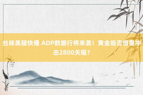 丝袜美腿快播 ADP数据行将来袭！黄金能否借重冲击2800关隘？