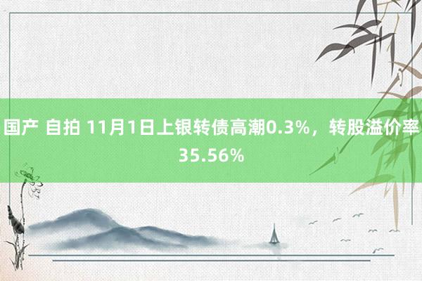 国产 自拍 11月1日上银转债高潮0.3%，转股溢价率35.56%