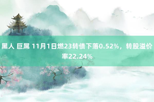 黑人 巨屌 11月1日燃23转债下落0.52%，转股溢价率22.24%