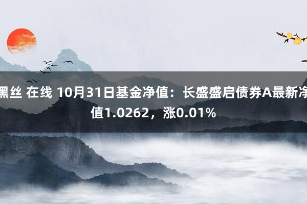 黑丝 在线 10月31日基金净值：长盛盛启债券A最新净值1.0262，涨0.01%