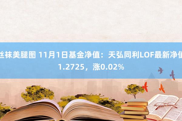 丝袜美腿图 11月1日基金净值：天弘同利LOF最新净值1.2725，涨0.02%