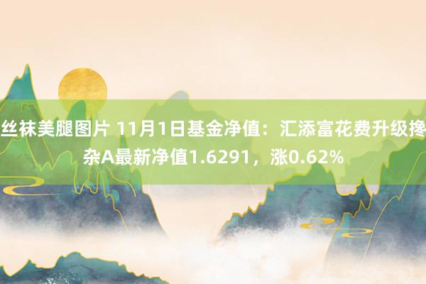 丝袜美腿图片 11月1日基金净值：汇添富花费升级搀杂A最新净值1.6291，涨0.62%