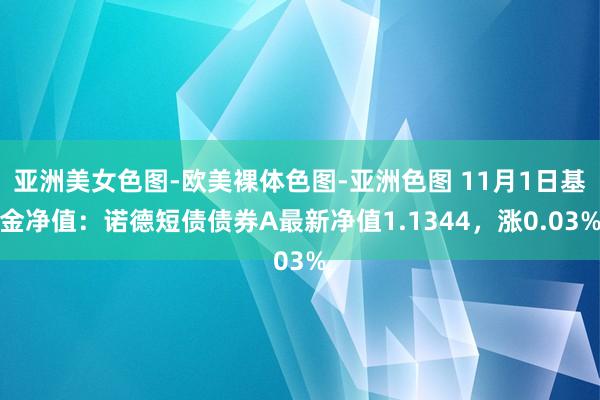 亚洲美女色图-欧美裸体色图-亚洲色图 11月1日基金净值：诺德短债债券A最新净值1.1344，涨0.03%