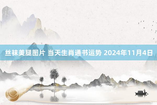 丝袜美腿图片 当天生肖通书运势 2024年11月4日