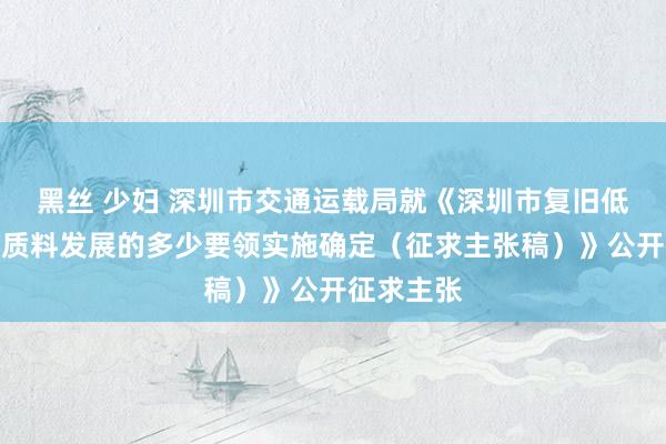 黑丝 少妇 深圳市交通运载局就《深圳市复旧低空经济高质料发展的多少要领实施确定（征求主张稿）》公开征求主张