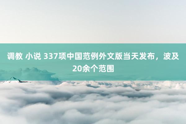 调教 小说 337项中国范例外文版当天发布，波及20余个范围