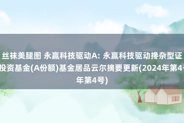 丝袜美腿图 永赢科技驱动A: 永赢科技驱动搀杂型证券投资基金(A份额)基金居品云尔摘要更新(2024年第4号)