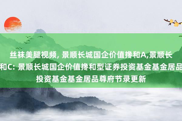 丝袜美腿视频， 景顺长城国企价值搀和A，景顺长城国企价值搀和C: 景顺长城国企价值搀和型证券投资基金基金居品尊府节录更新