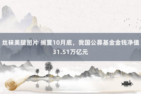 丝袜美腿图片 搁置10月底，我国公募基金金钱净值31.51万亿元