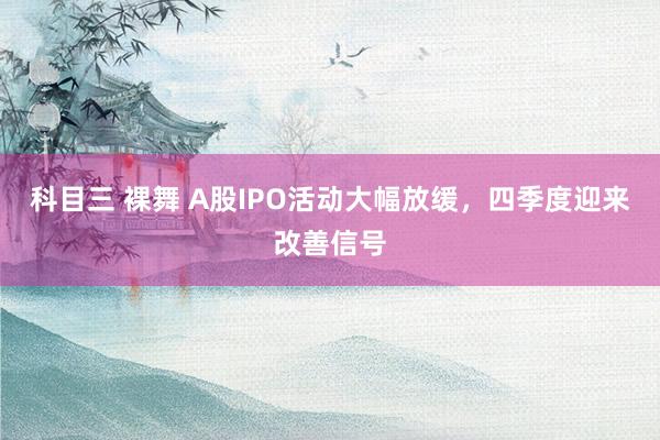 科目三 裸舞 A股IPO活动大幅放缓，四季度迎来改善信号