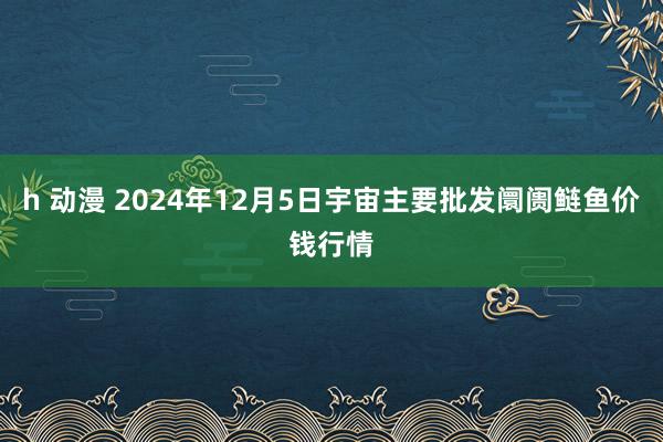 h 动漫 2024年12月5日宇宙主要批发阛阓鲢鱼价钱行情