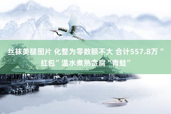 丝袜美腿图片 化整为零数额不大 合计557.8万“红包”温水煮熟贪腐“青蛙”