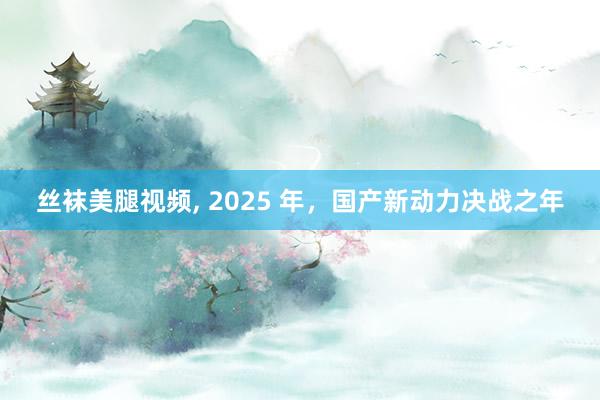 丝袜美腿视频， 2025 年，国产新动力决战之年