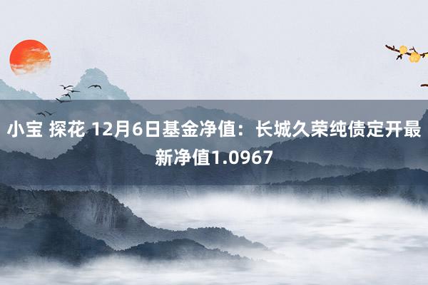 小宝 探花 12月6日基金净值：长城久荣纯债定开最新净值1.0967