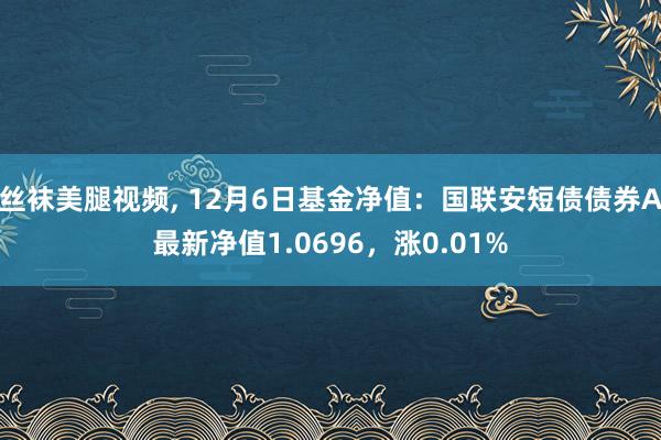 丝袜美腿视频， 12月6日基金净值：国联安短债债券A最新净值1.0696，涨0.01%