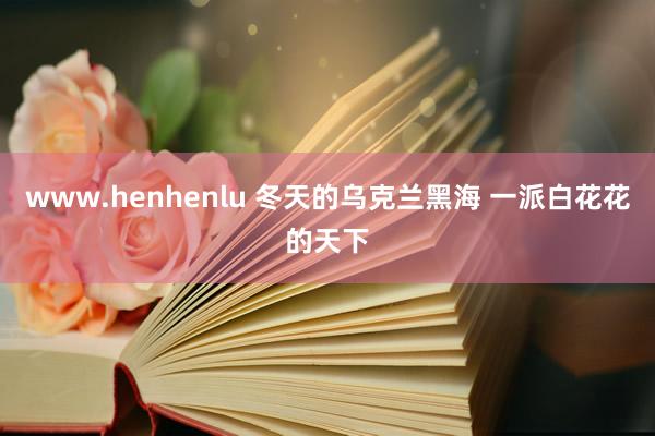 www.henhenlu 冬天的乌克兰黑海 一派白花花的天下