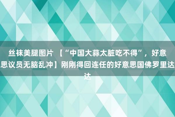 丝袜美腿图片 【“中国大蒜太脏吃不得”，好意思议员无脑乱冲】刚刚得回连任的好意思国佛罗里达