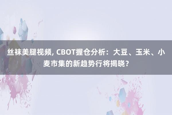 丝袜美腿视频， CBOT握仓分析：大豆、玉米、小麦市集的新趋势行将揭晓？